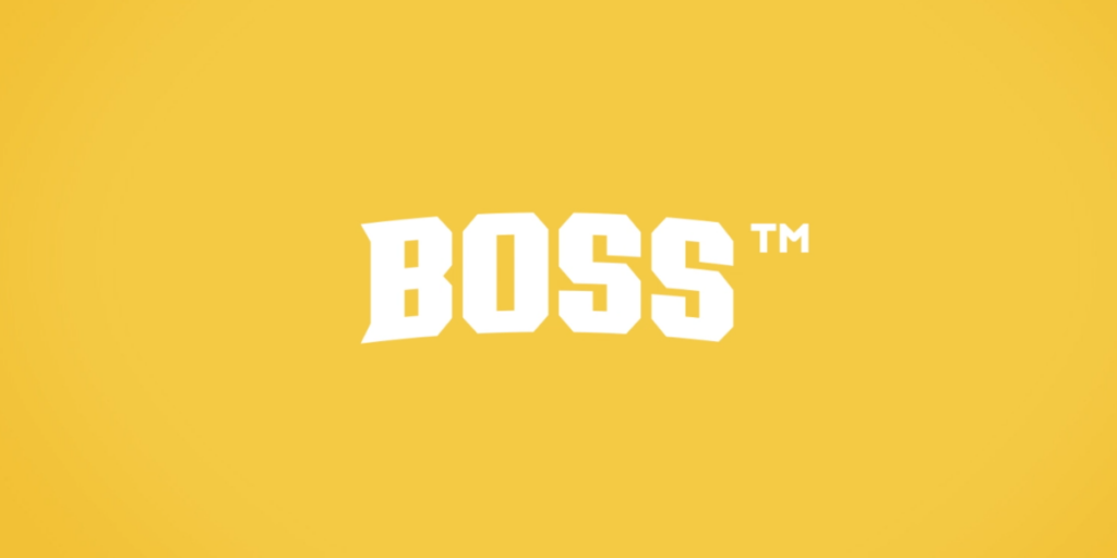 BOSS game artwork